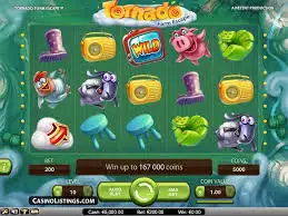 xác suất poker